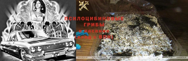 бошки Переславль-Залесский