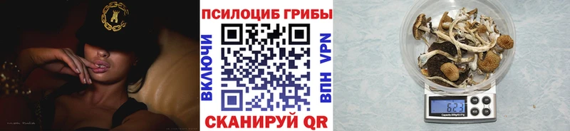 как найти наркотики  Щигры  Псилоцибиновые грибы прущие грибы 